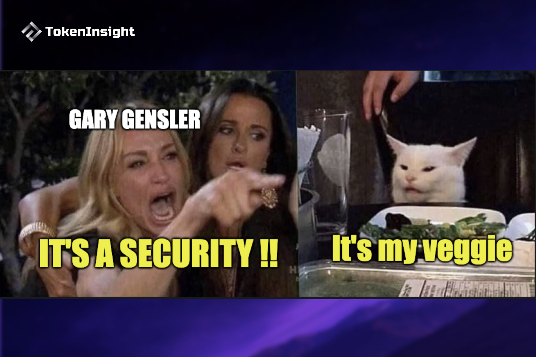 Gary Gensler — 남자가 테이블에 가져올 수 있는 것들 | TokenInsight