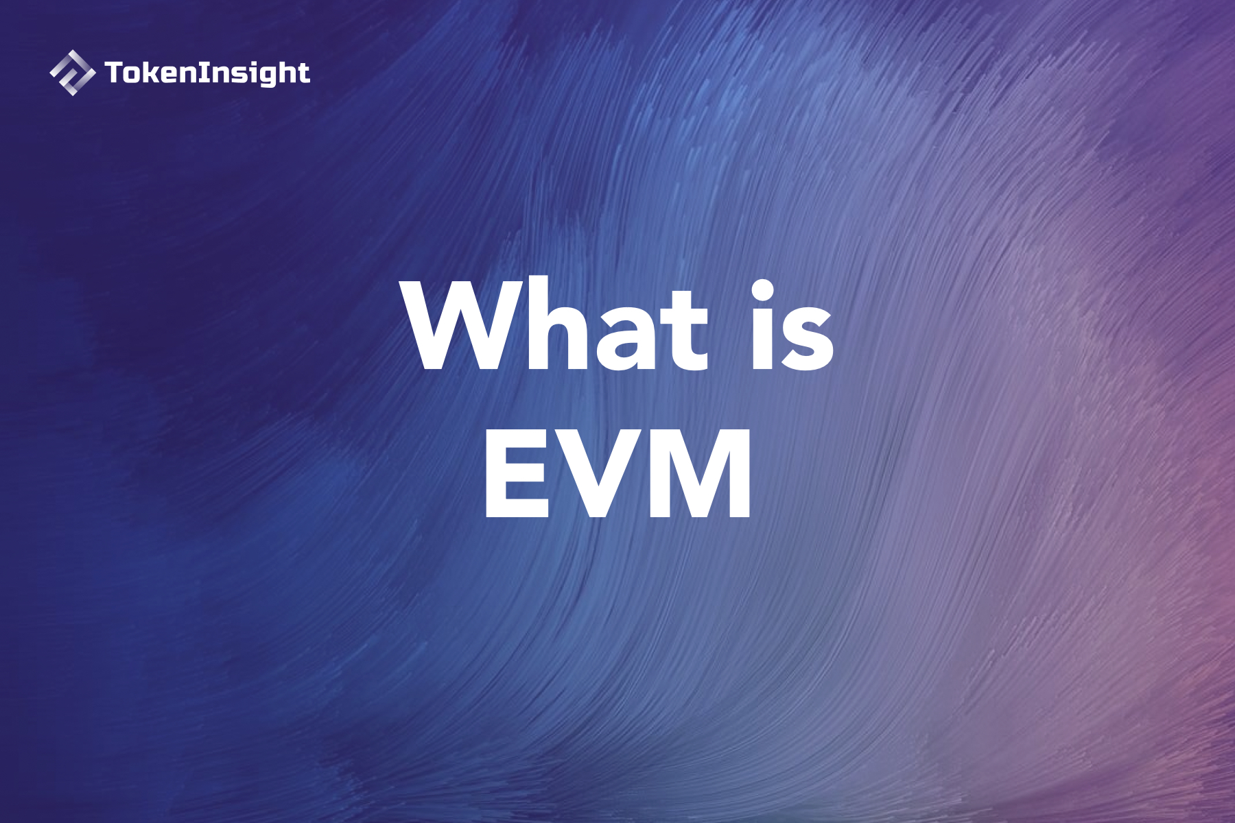 What is EVM | TokenInsight