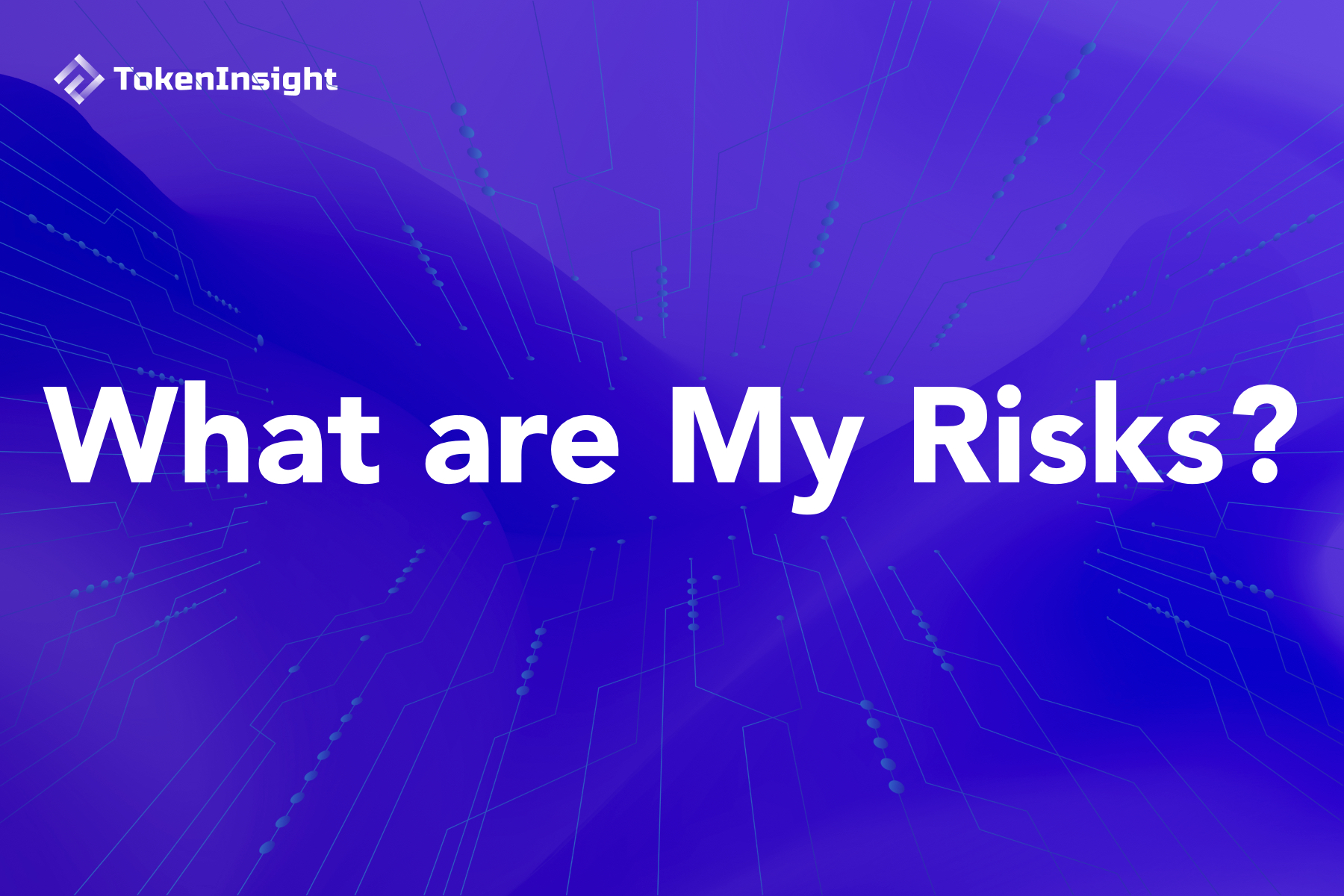 My Risk What are My Risks When Buying/Holding Cryptocurrencies? | TokenInsight