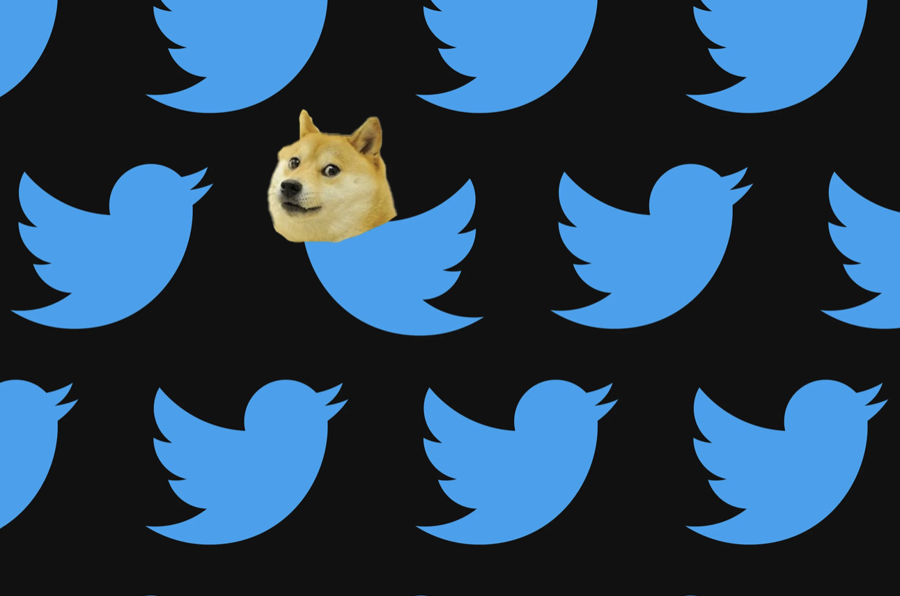 Twitter Changed Logo from Blue Bird to Doge | TokenInsight