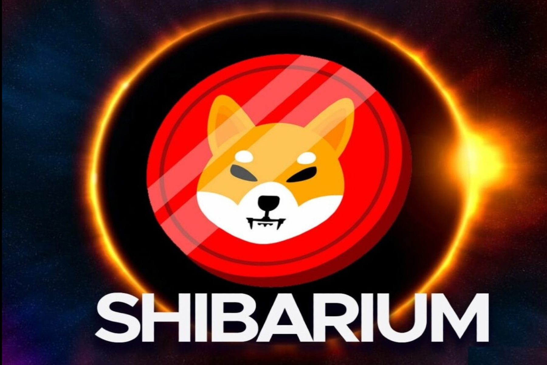 시바리움 네트워크 기술 오류로 인해 $SHIB, $BONE, $LEASH 토큰 급락 | TokenInsight