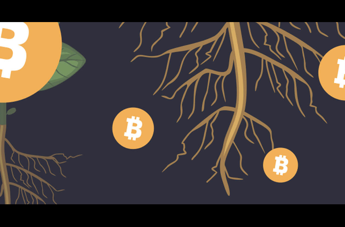 Lightning Labs Released Taproot Assets Alpha, Enabling